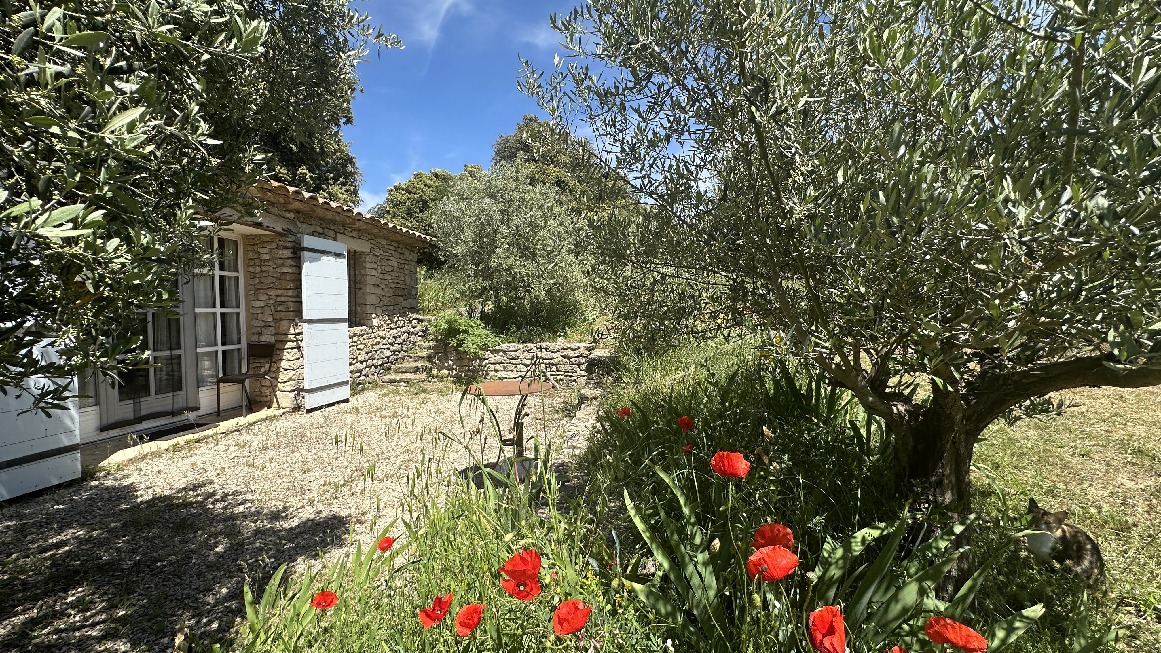 Exceptionnelle propriété authentique en pierres à Buoux