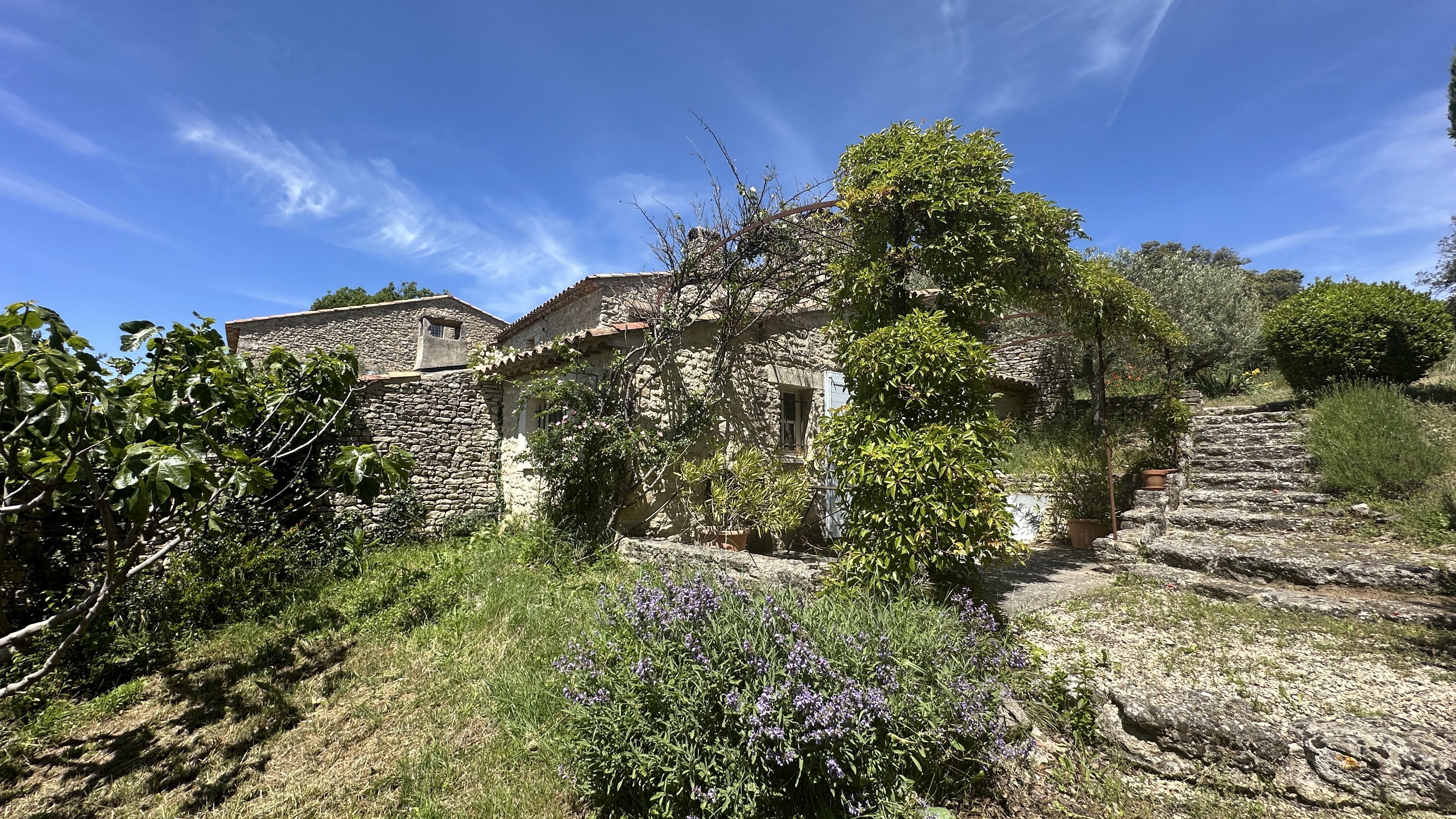 Exceptionnelle propriété authentique en pierres à Buoux