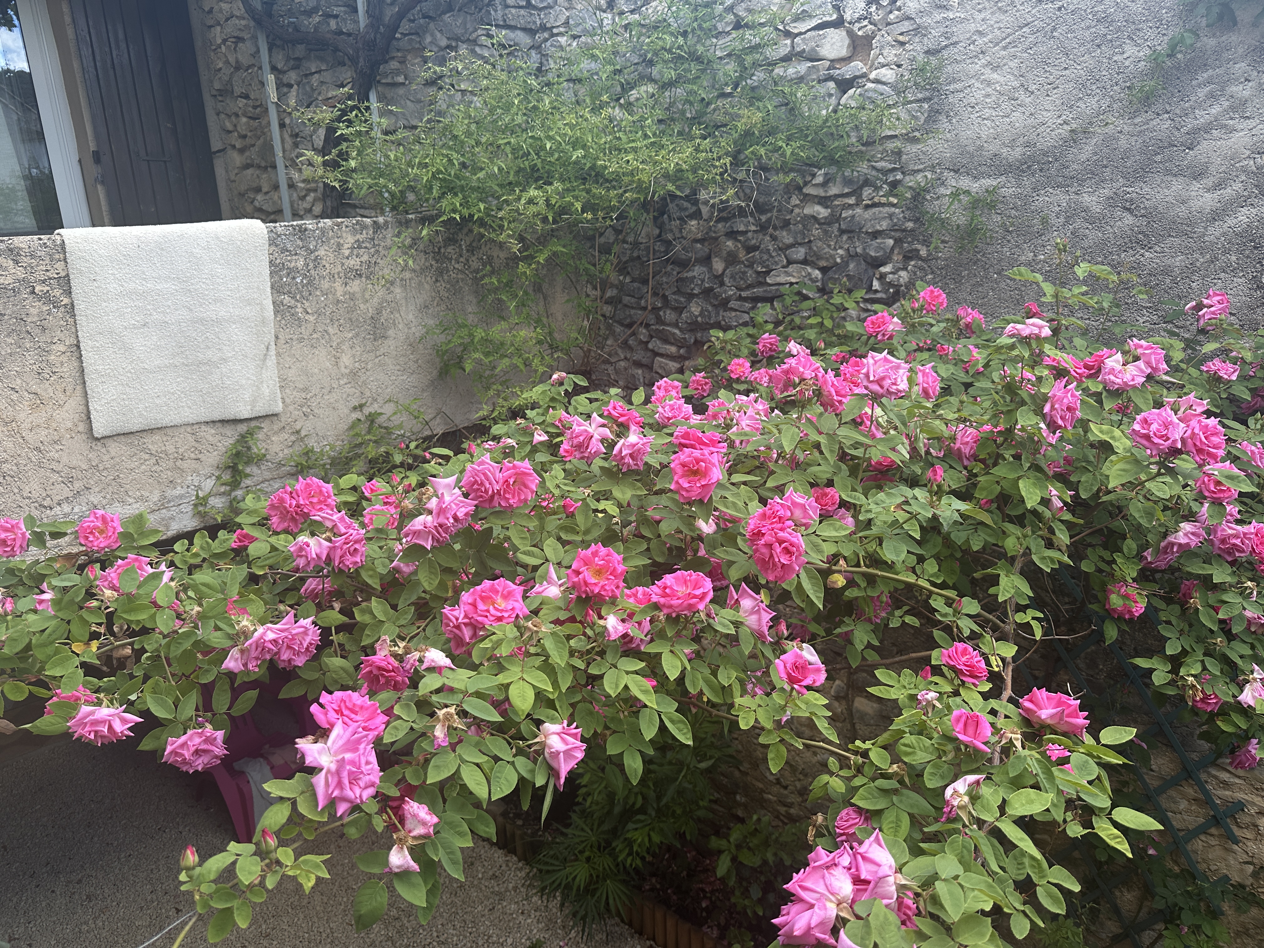 Maison de village avec terrasse et cour aménagée à Montsalier